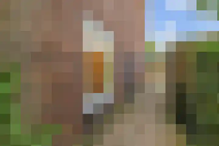 Paulus Potterlaan 99 Rijswijk thumbnail 18