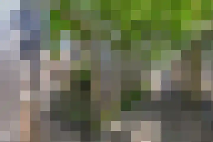 Paulus Potterlaan 99 Rijswijk thumbnail 19