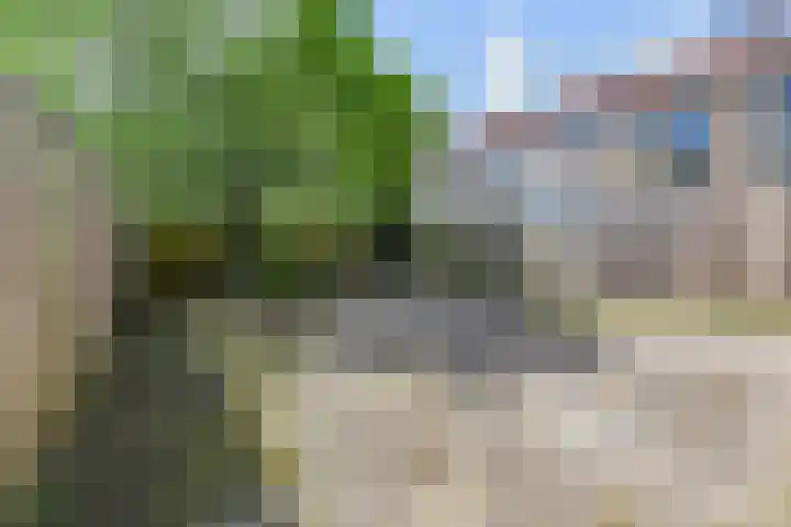 Paulus Potterlaan 99 Rijswijk thumbnail 7