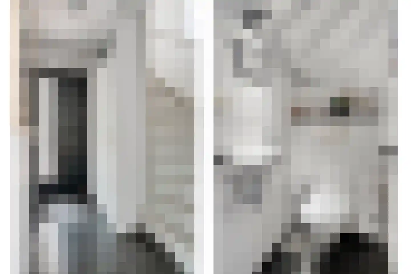 Paulus Potterpad 22 Axel thumbnail 12