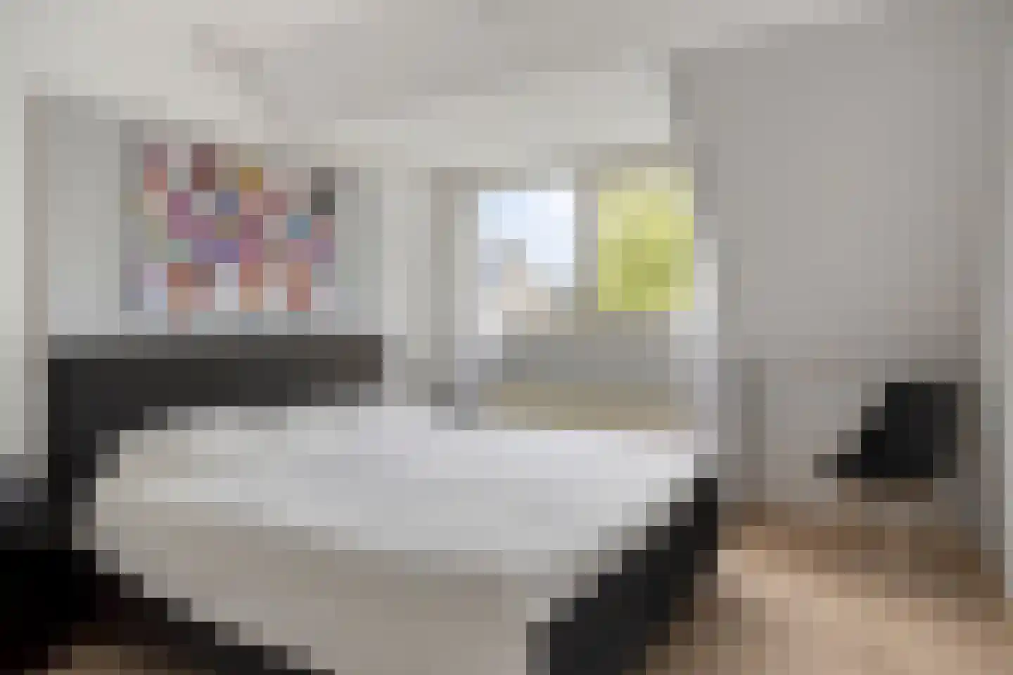 Paulus Potterpad 22 Axel thumbnail 13