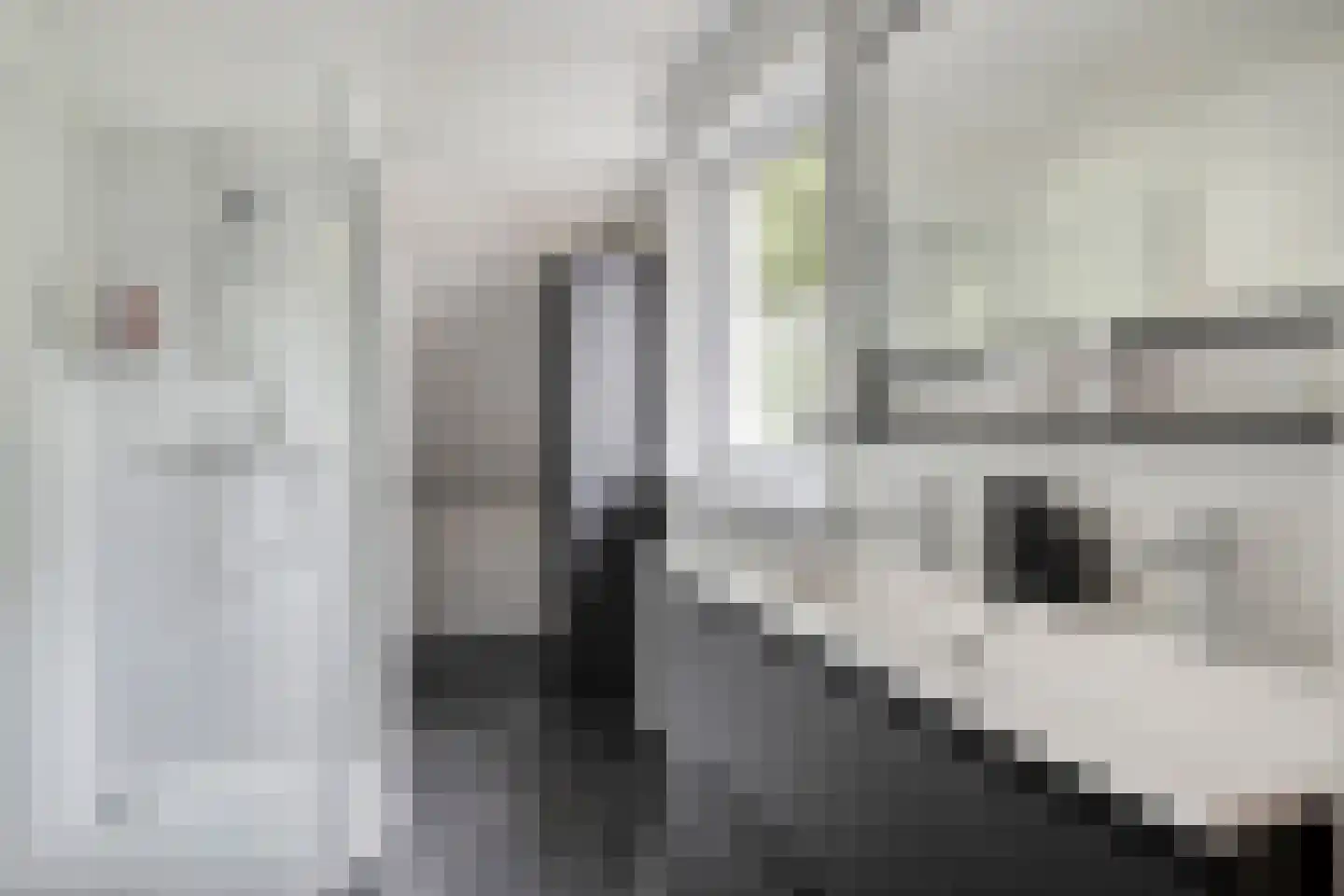 Paulus Potterpad 22 Axel thumbnail 15