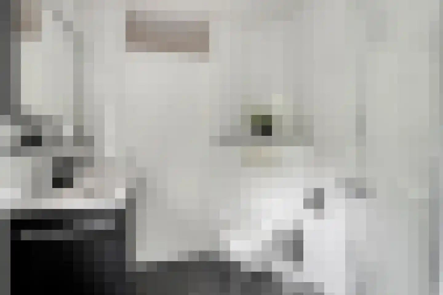 Paulus Potterpad 22 Axel thumbnail 17