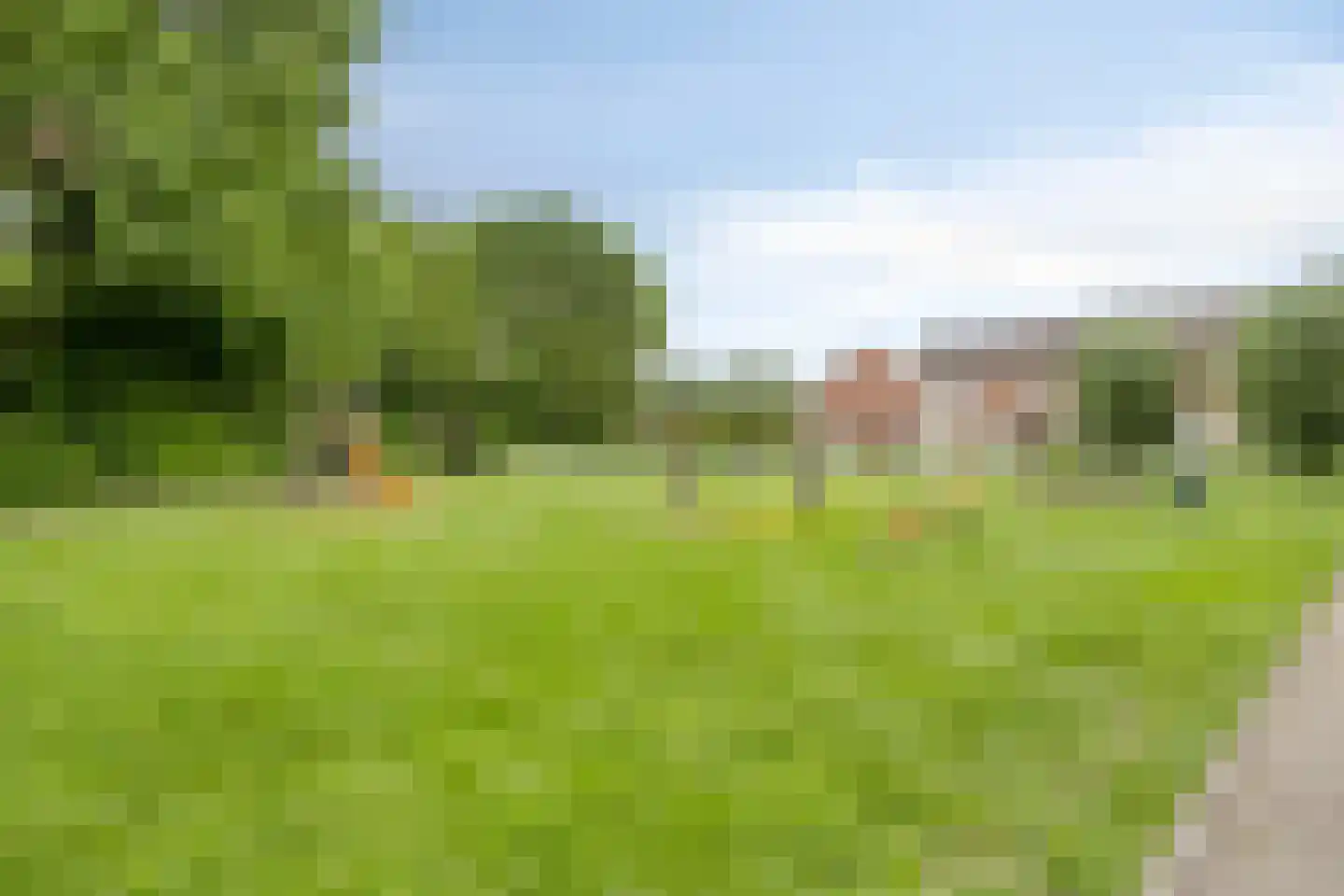 Paulus Potterpad 22 Axel thumbnail 30