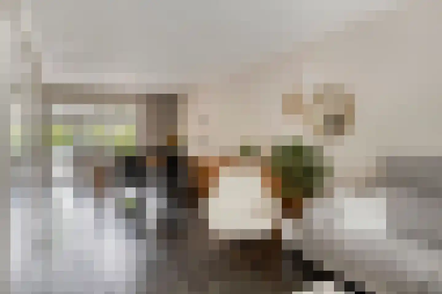 Paulus Potterpad 22 Axel thumbnail 4