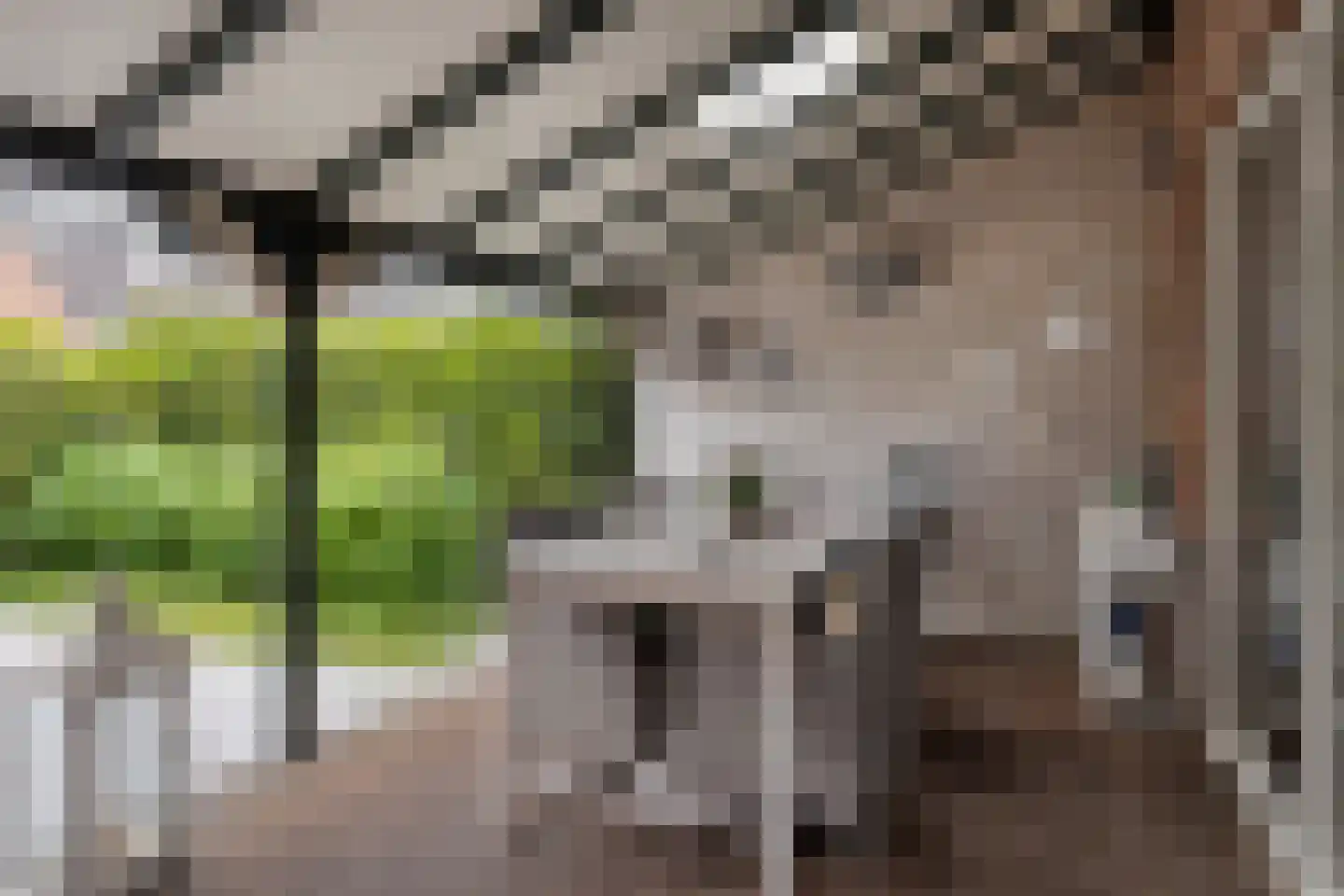 Paulus Potterpad 22 Axel thumbnail 9