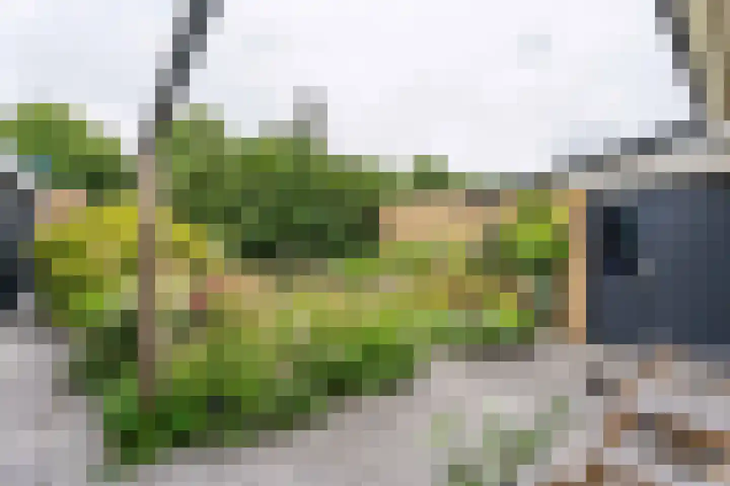 Paulus Potterplantsoen 3 Hillegom thumbnail 13