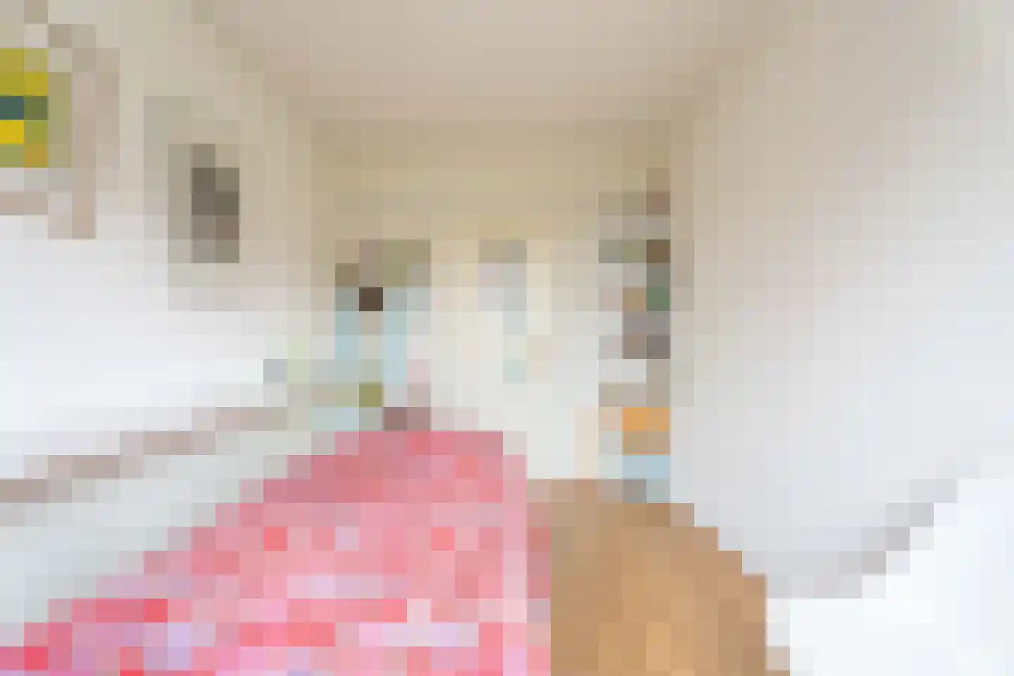 Paulus Potterplantsoen 3 Hillegom thumbnail 30