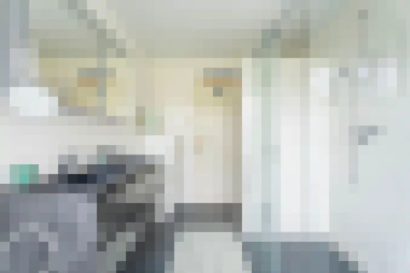 Paulus Potterplantsoen 3 Hillegom thumbnail 36