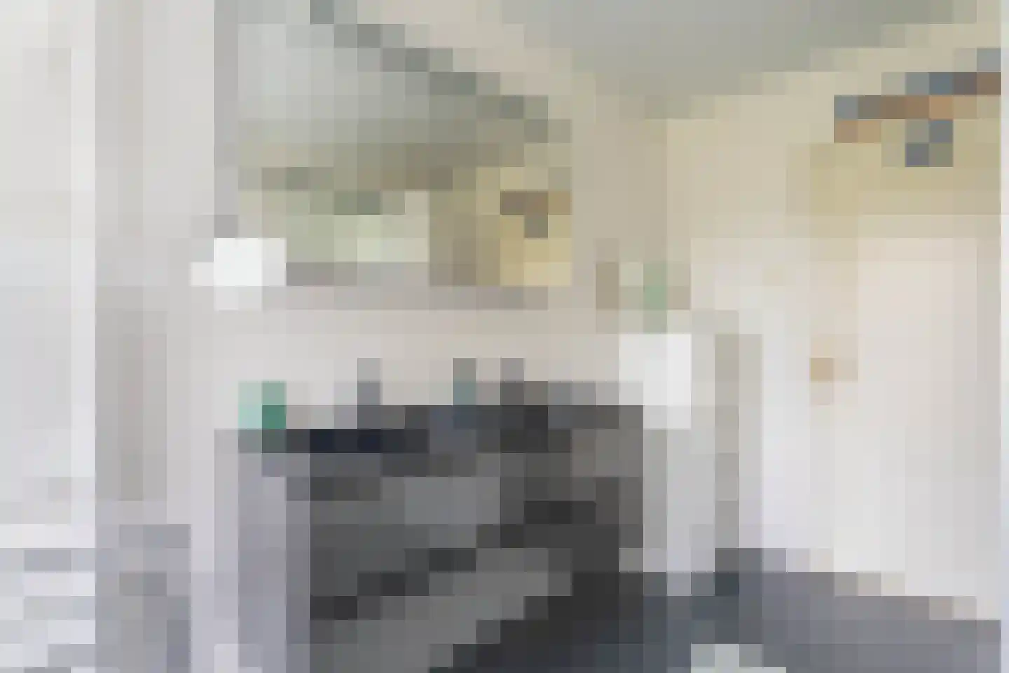 Paulus Potterplantsoen 3 Hillegom thumbnail 37
