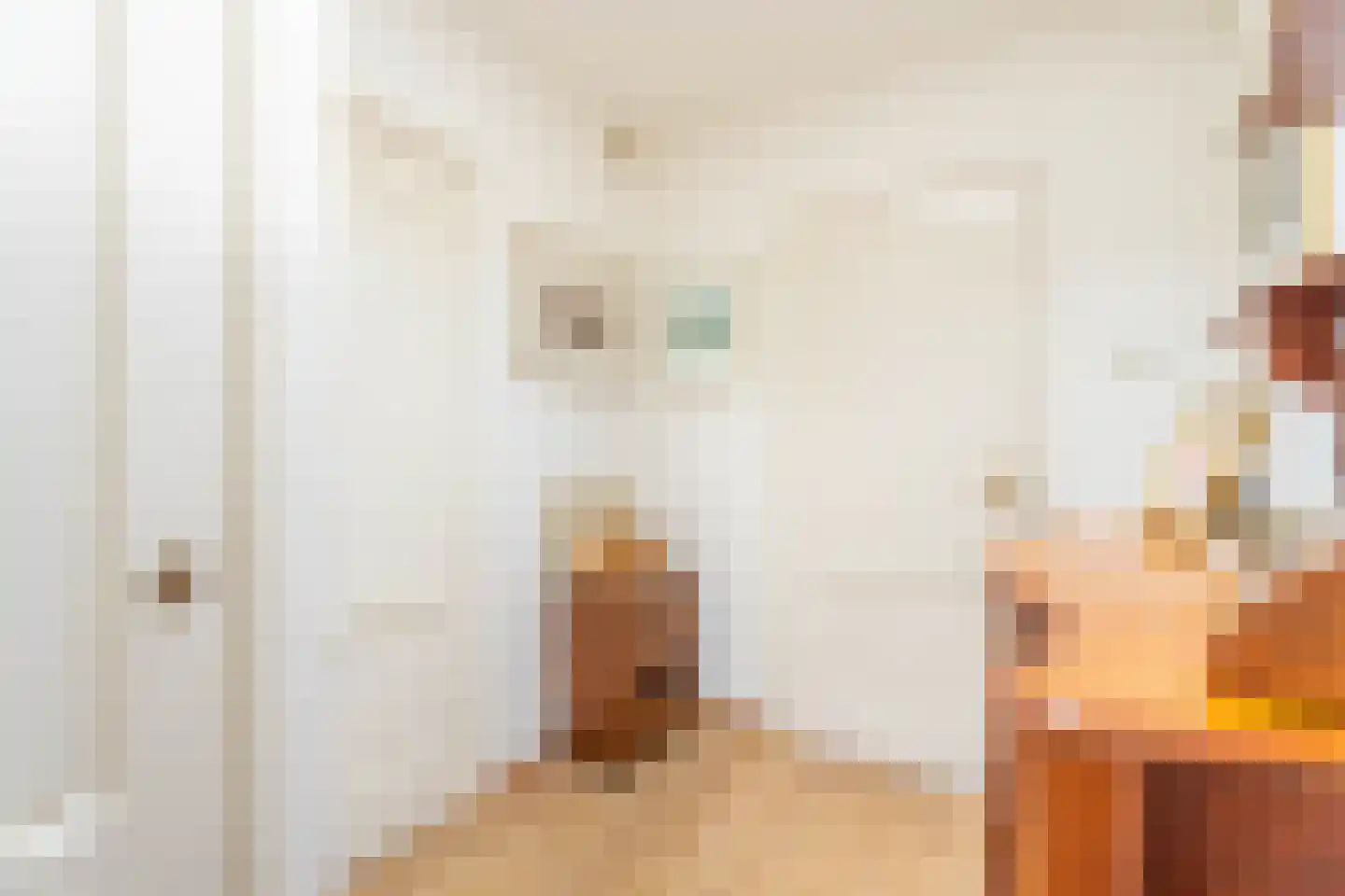 Paulus Potterplantsoen 3 Hillegom thumbnail 39