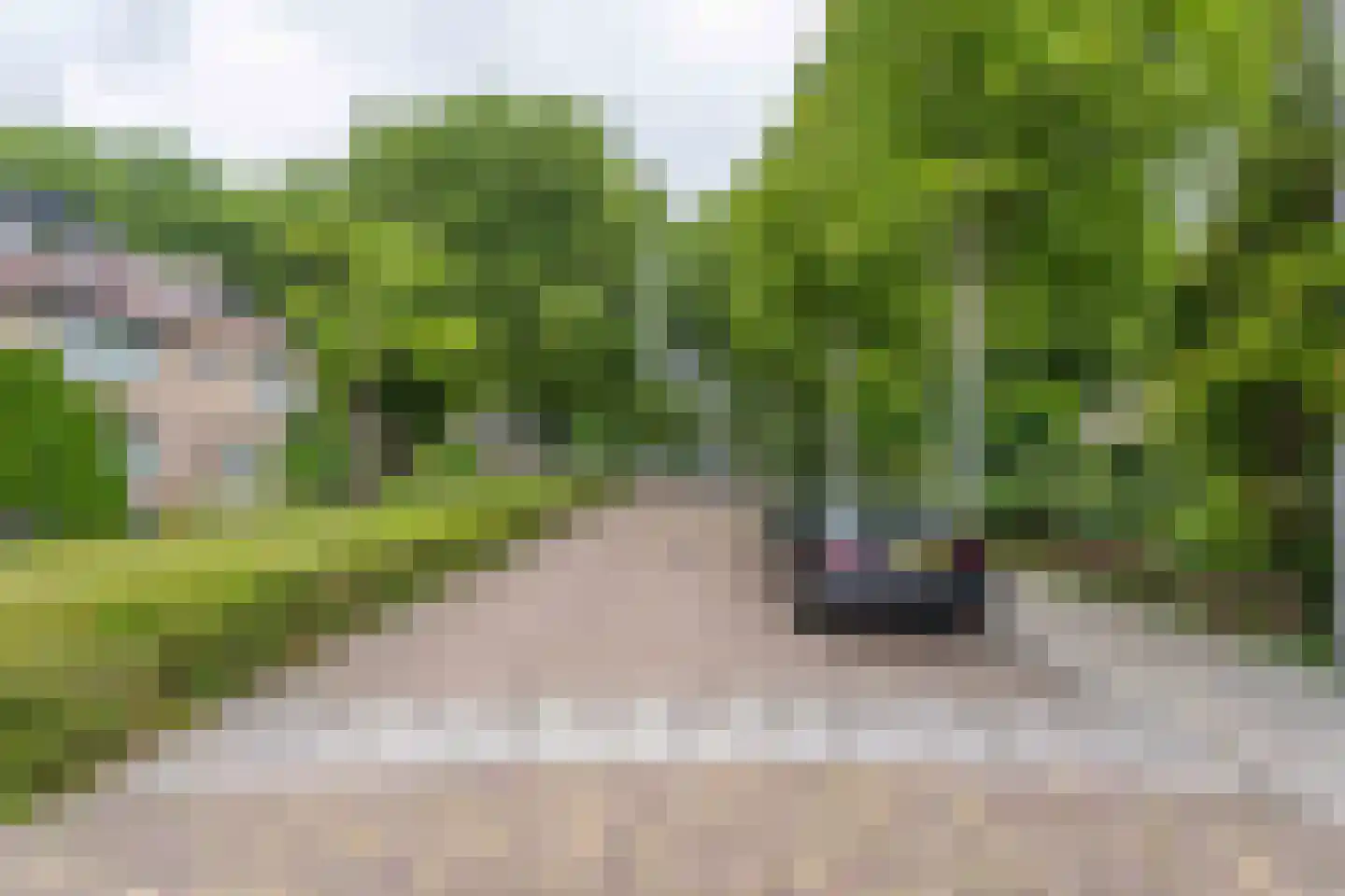Paulus Potterplantsoen 3 Hillegom thumbnail 44