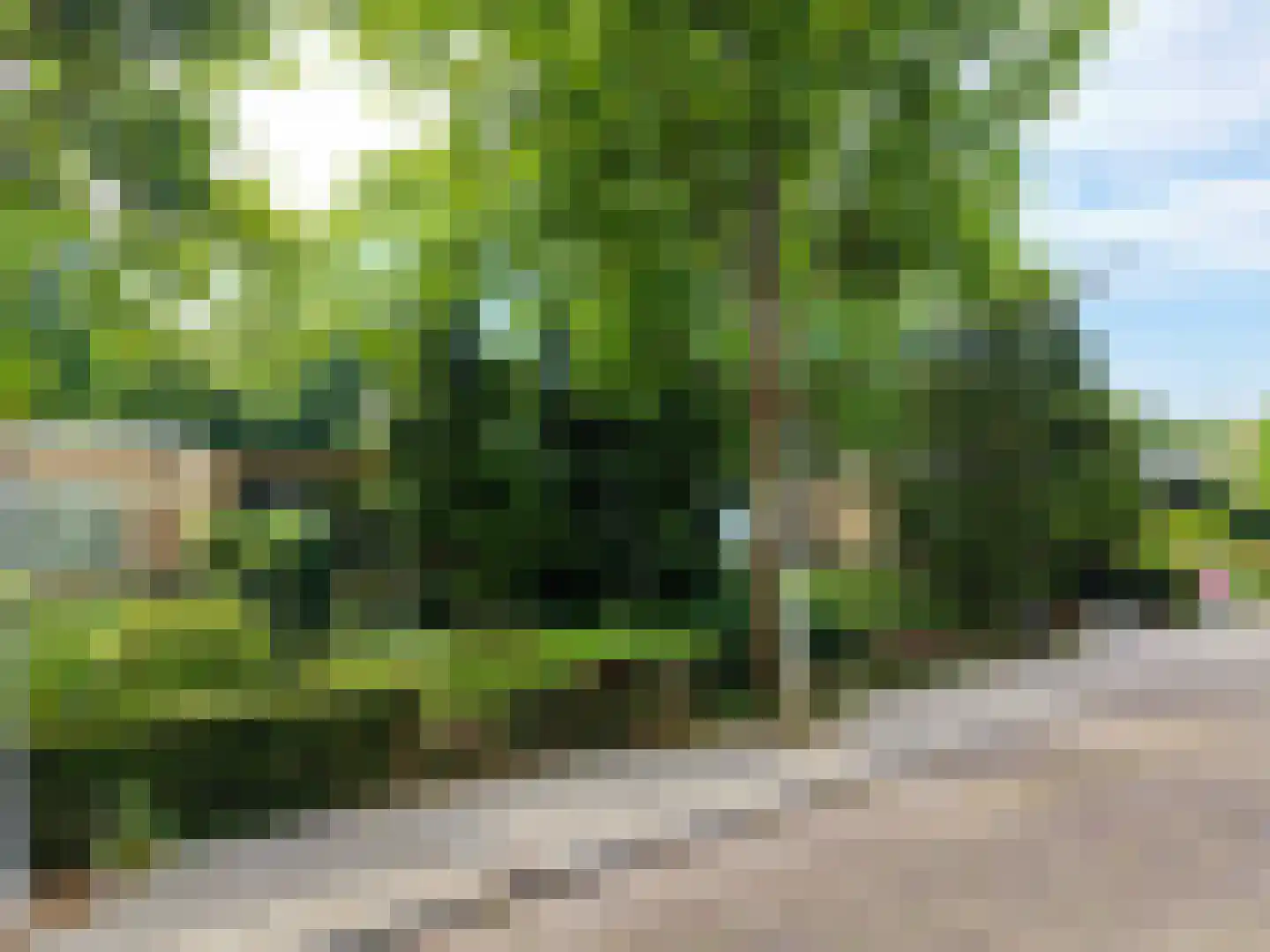 Paulus Potterplantsoen 3 Hillegom thumbnail 46
