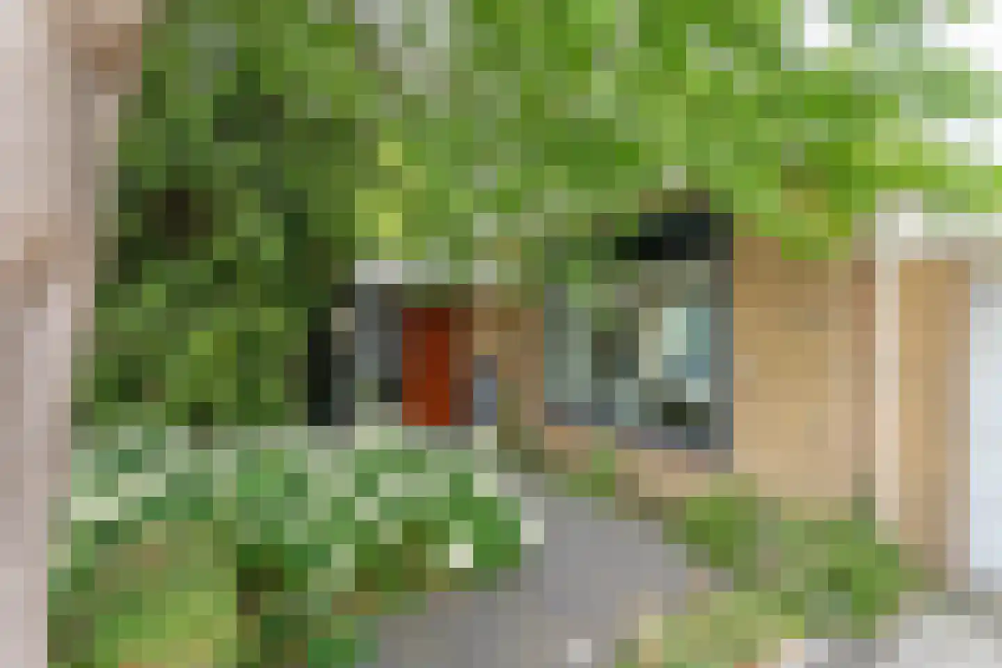 Paulus Potterplantsoen 3 Hillegom thumbnail 6
