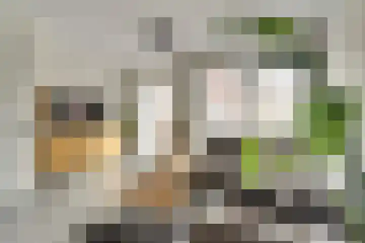 Paulus Potterstraat 1 b Raamsdonksveer thumbnail 11