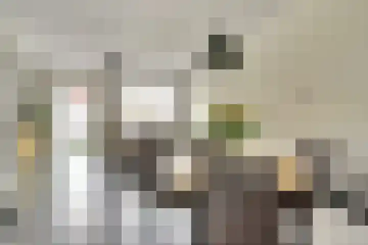 Paulus Potterstraat 1 b Raamsdonksveer thumbnail 13