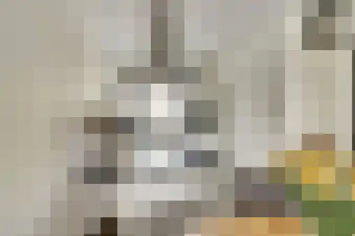 Paulus Potterstraat 1 b Raamsdonksveer thumbnail 14
