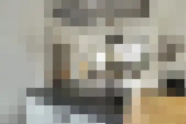 Paulus Potterstraat 1 b Raamsdonksveer thumbnail 17