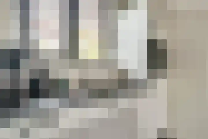 Paulus Potterstraat 1 b Raamsdonksveer thumbnail 18
