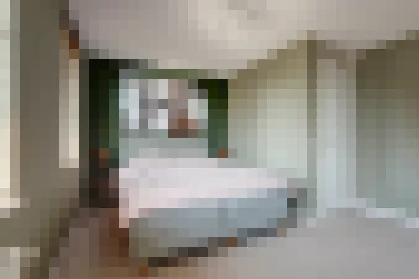 Paulus Potterstraat 1 b Raamsdonksveer thumbnail 18