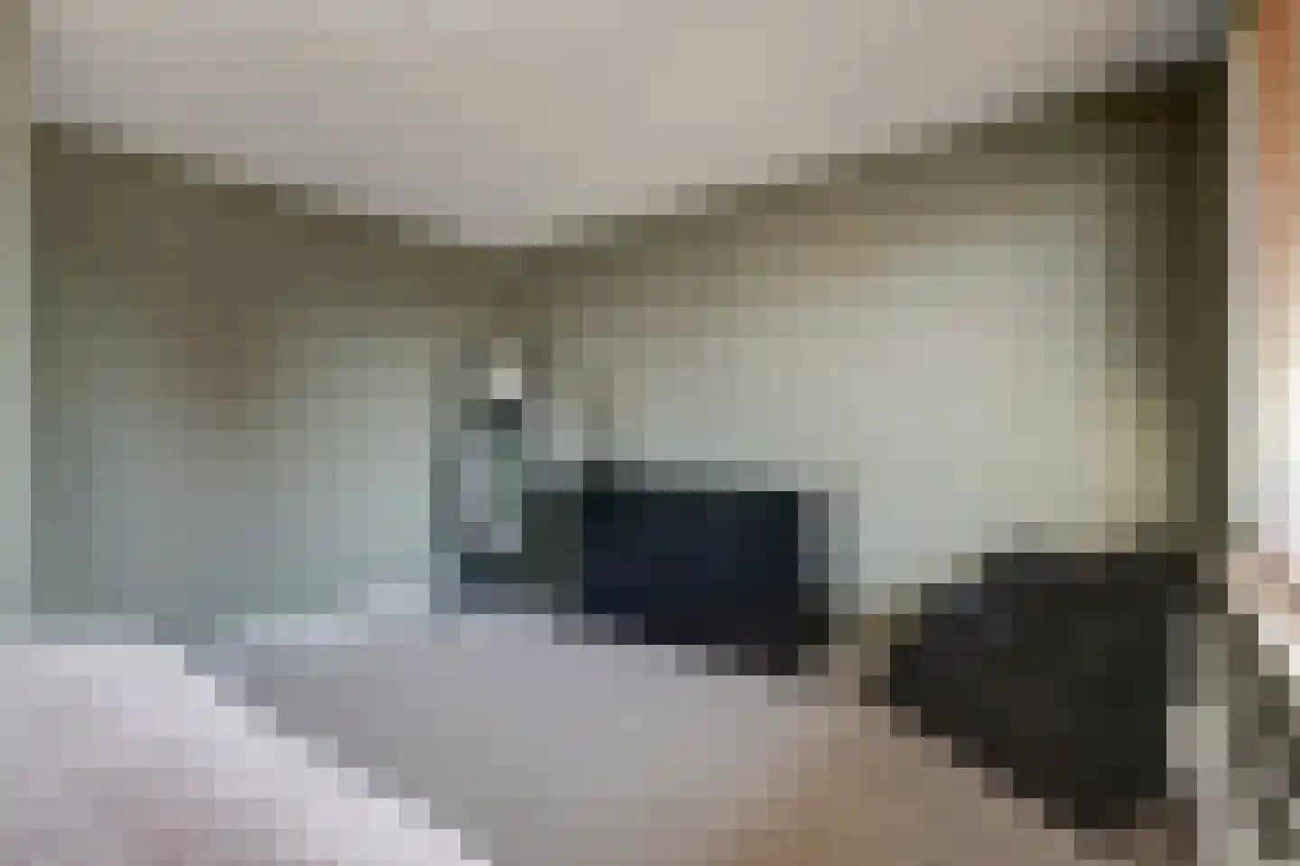 Paulus Potterstraat 1 b Raamsdonksveer thumbnail 20