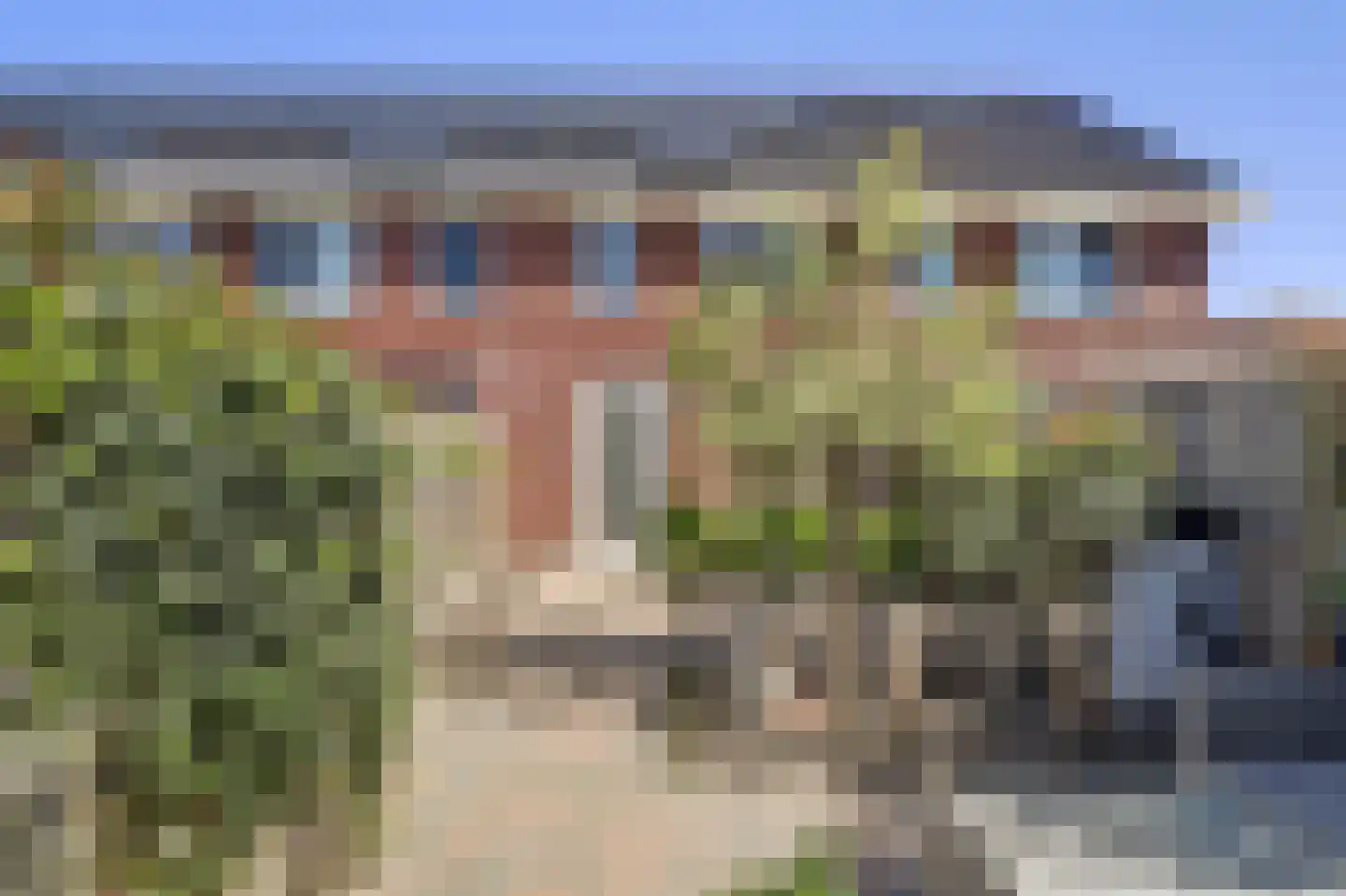 Paulus Potterstraat 1 b Raamsdonksveer thumbnail 31