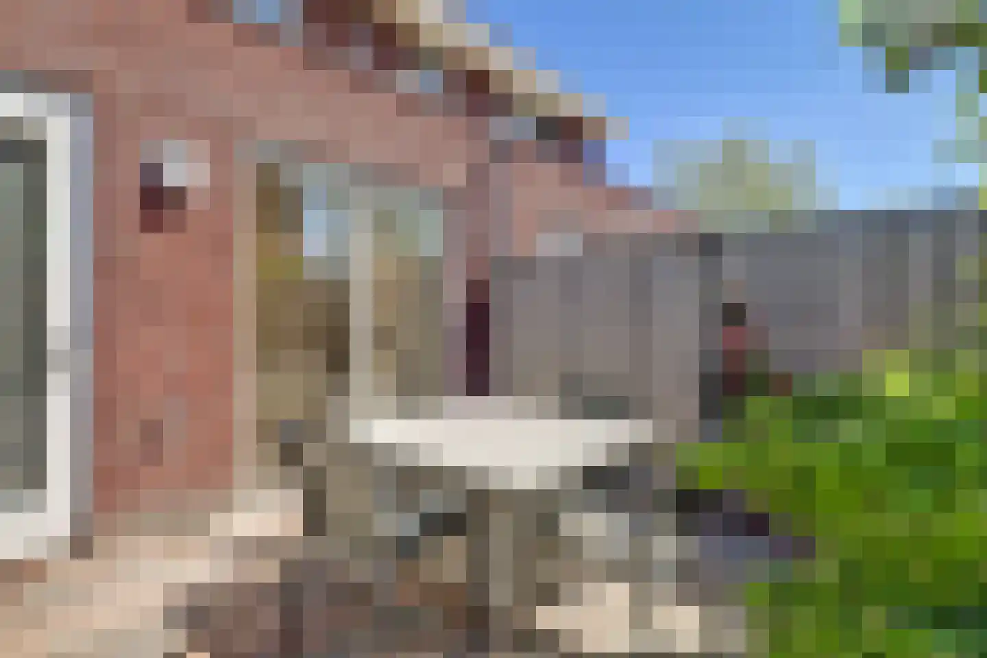 Paulus Potterstraat 1 b Raamsdonksveer thumbnail 32