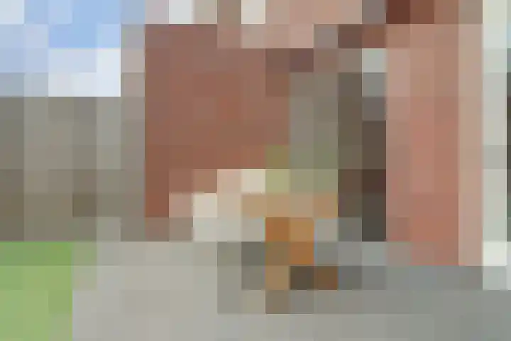 Paulus Potterstraat 1 b Raamsdonksveer thumbnail 32