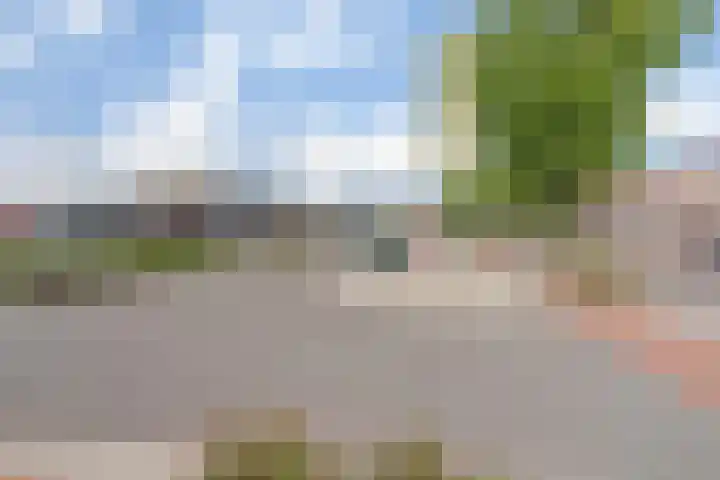Paulus Potterstraat 1 b Raamsdonksveer thumbnail 34