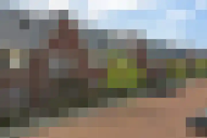 Paulus Potterstraat 1 b Raamsdonksveer thumbnail 36