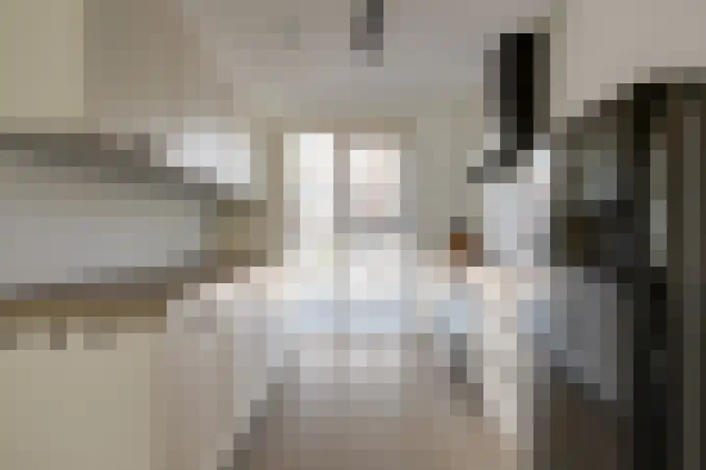 Paulus Potterstraat 1 b Raamsdonksveer thumbnail 4
