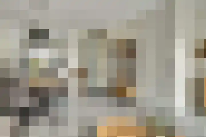 Paulus Potterstraat 1 b Raamsdonksveer thumbnail 8
