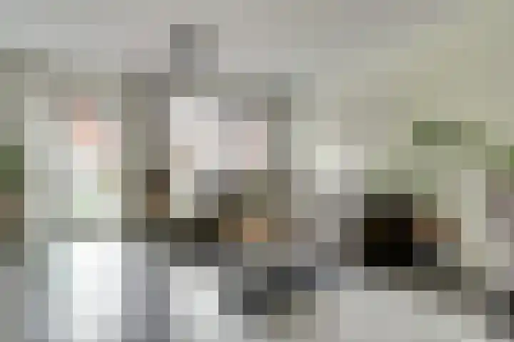 Paulus Potterstraat 1 b Raamsdonksveer thumbnail 9