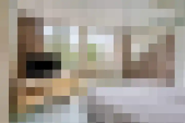 Paulus Potterstraat 1 Veghel thumbnail 28