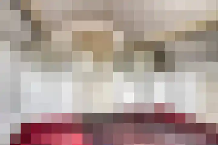 Paulus Potterstraat 1 Veghel thumbnail 32