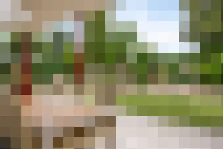 Paulus Potterstraat 1 Veghel thumbnail 34