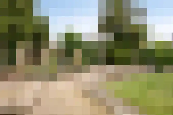 Paulus Potterstraat 1 Veghel thumbnail 35