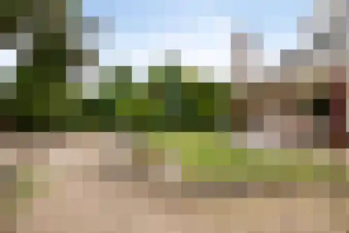 Paulus Potterstraat 1 Veghel thumbnail 36