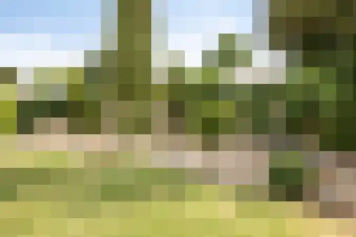 Paulus Potterstraat 1 Veghel thumbnail 37