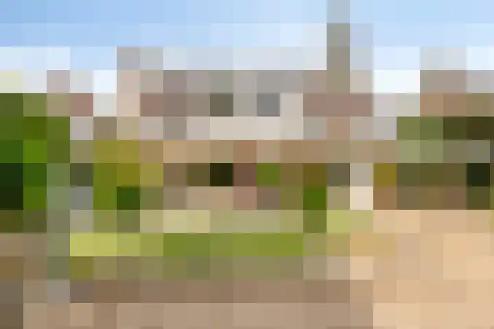 Paulus Potterstraat 1 Veghel thumbnail 47