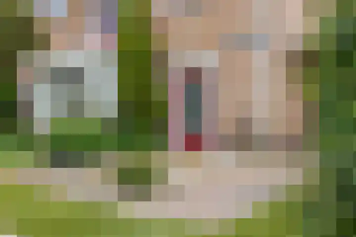 Paulus Potterstraat 1 Veghel thumbnail 7