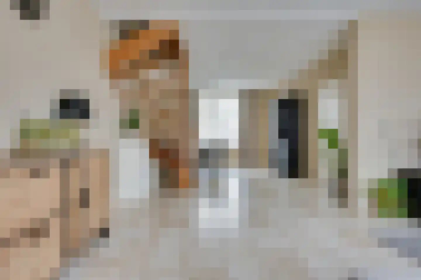 Paulus Potterstraat 1 Vinkel thumbnail 6