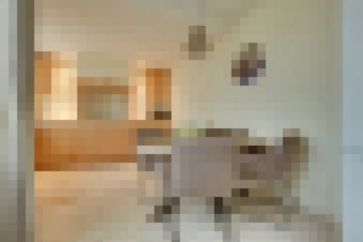 Paulus Potterstraat 1 Vinkel thumbnail 9