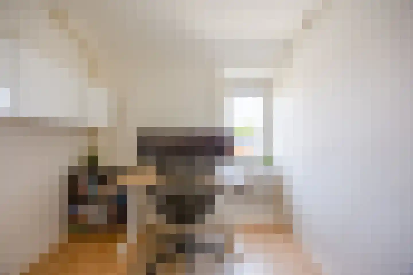 Paulus Potterstraat 10 Nijmegen thumbnail 22