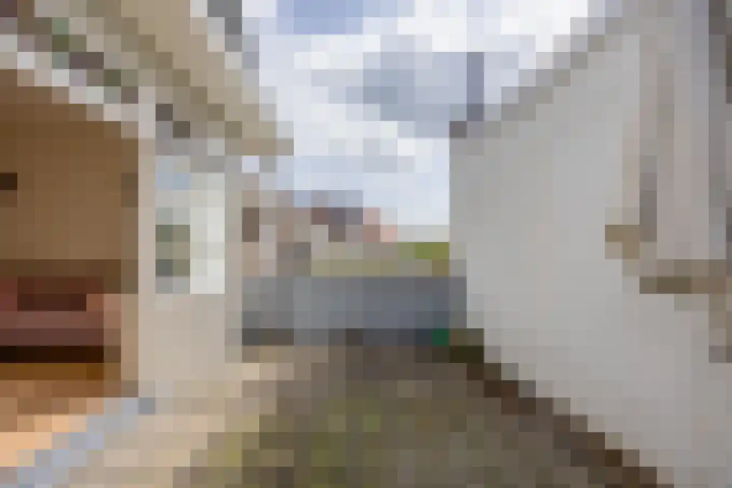 Paulus Potterstraat 10 Nijmegen thumbnail 9