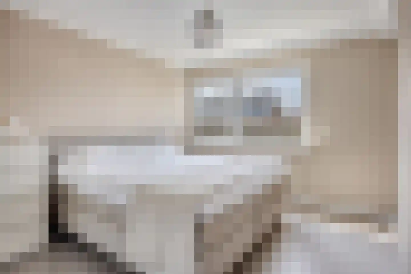 Paulus Potterstraat 10 Papendrecht thumbnail 17