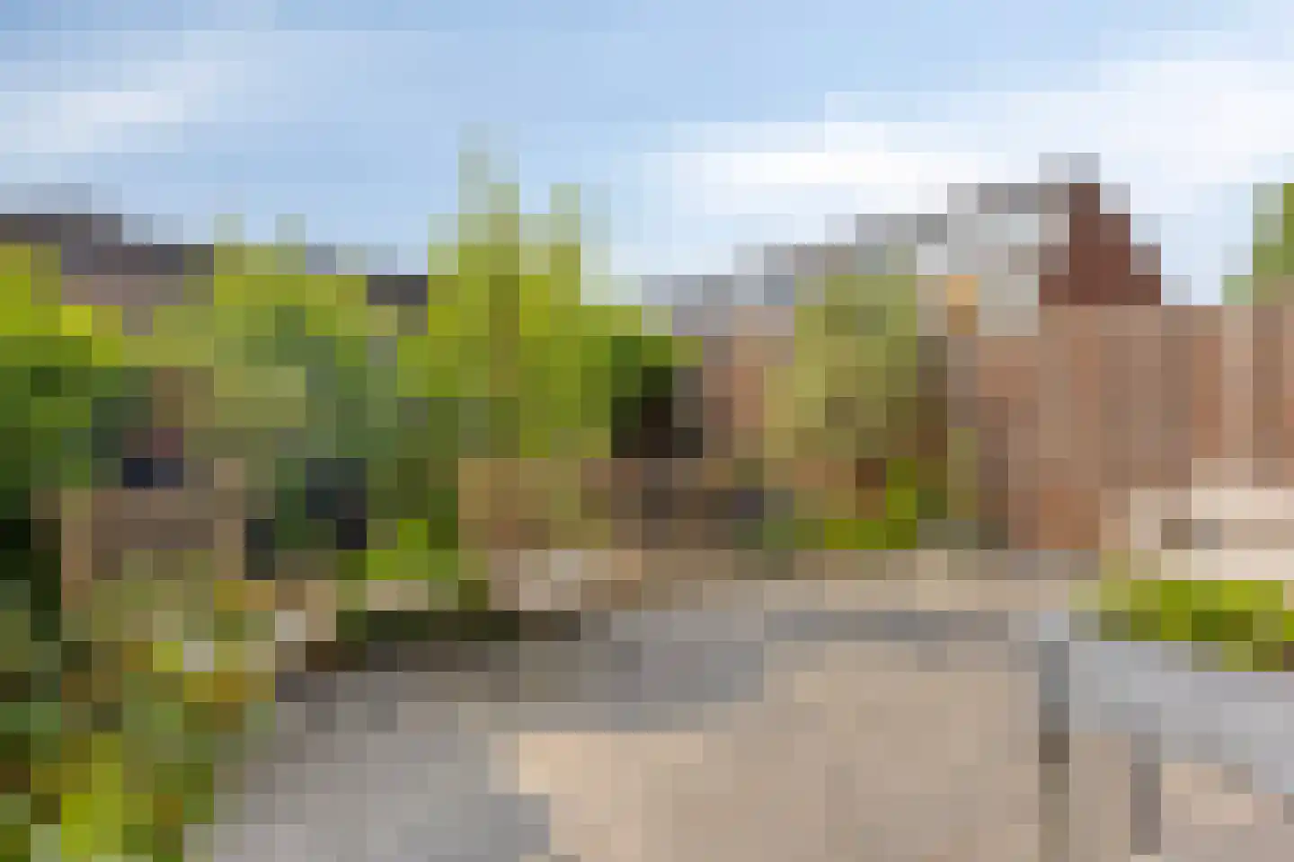 Paulus Potterstraat 10 Papendrecht thumbnail 4