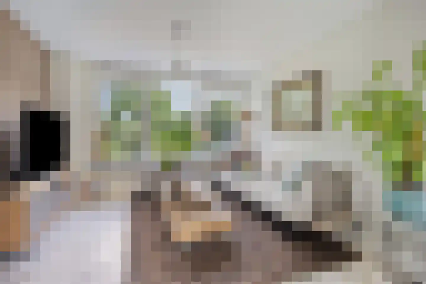 Paulus Potterstraat 10 Papendrecht thumbnail 7