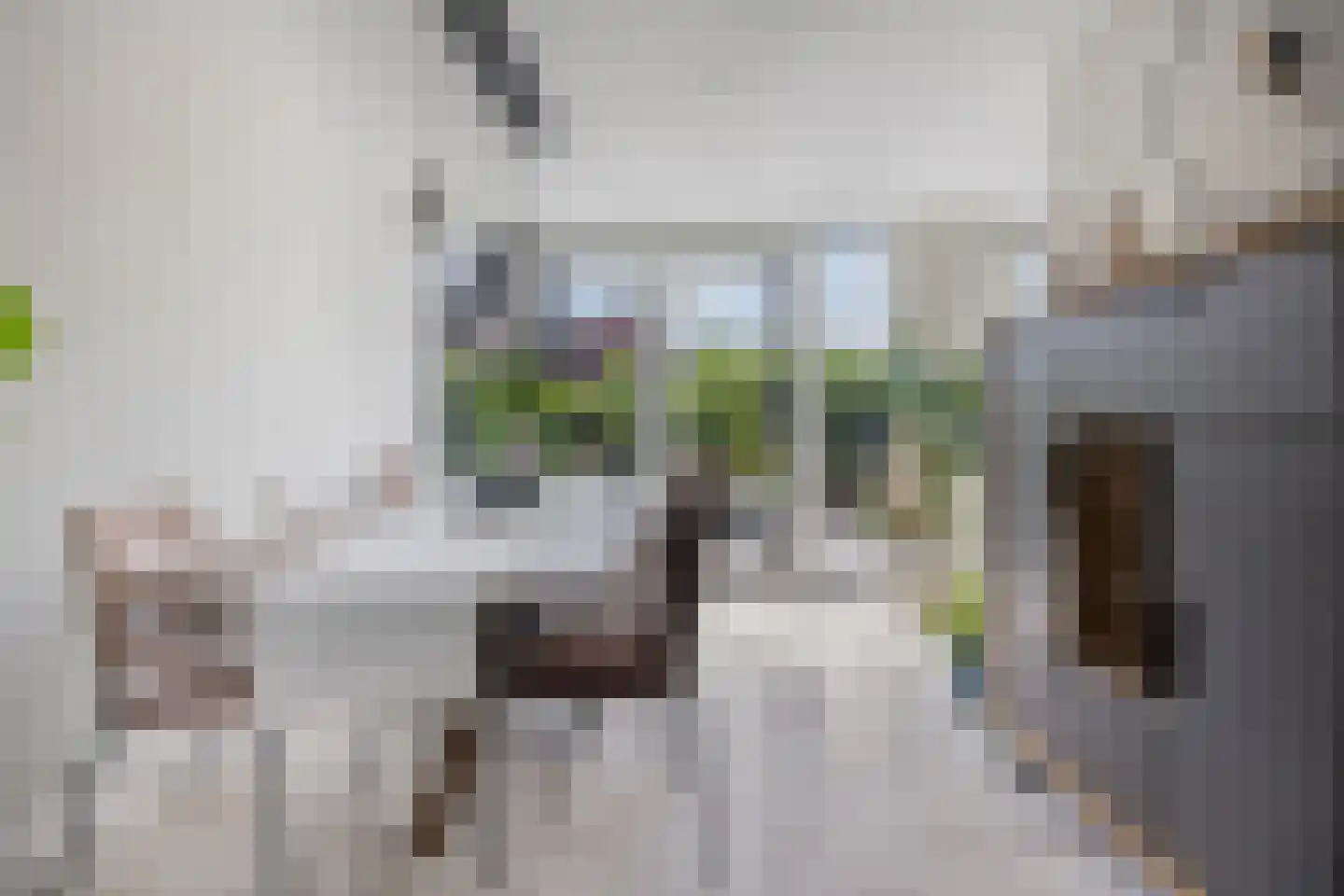 Paulus Potterstraat 10 Papendrecht thumbnail 8