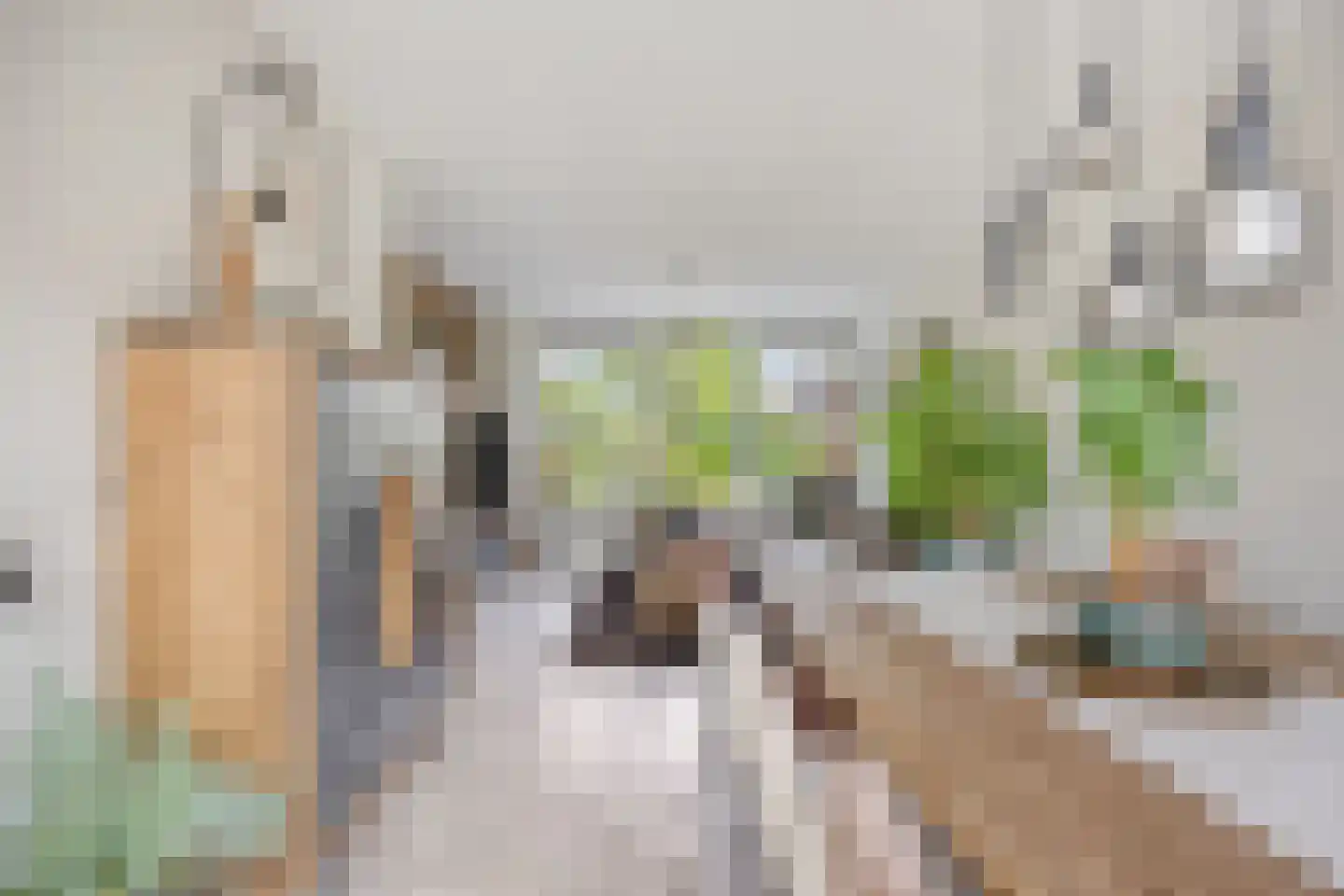 Paulus Potterstraat 10 Papendrecht thumbnail 9